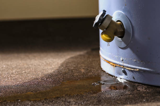 Water damage restoration process in IN