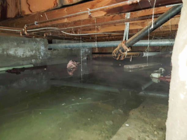 Best Sewage cleanup and water damage restoration  in Logansport, IN