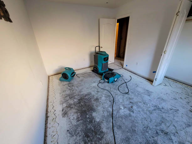 Best Basement water damage restoration  in Logansport, IN