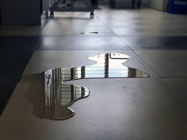 Best 24-hour water damage restoration  in Logansport, IN