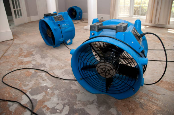 Best Professional water damage repair  in Logansport, IN