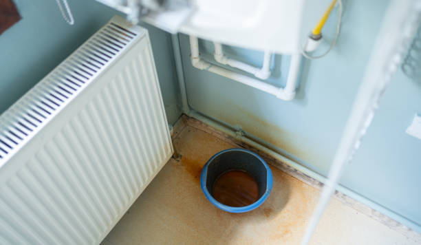 Best Water damage cleanup near me  in Logansport, IN