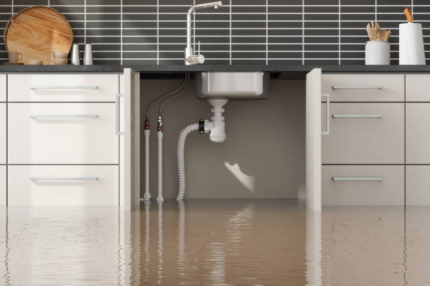Best Water damage contractors near me  in Logansport, IN