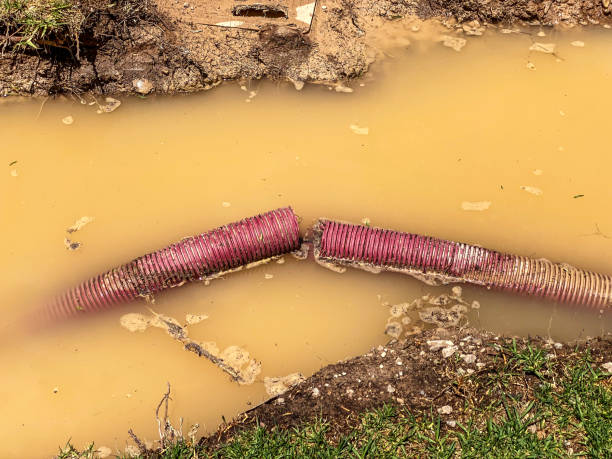Best Emergency water damage restoration  in Logansport, IN